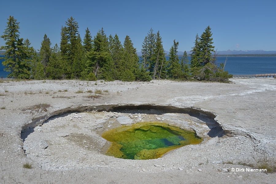 Ledge Spring Yellowstone