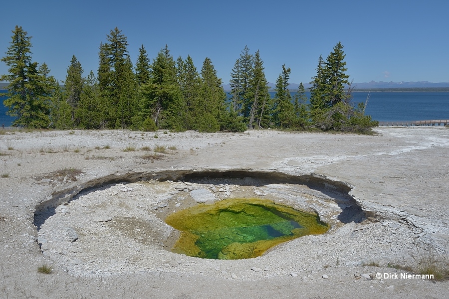 Ledge Spring Yellowstone