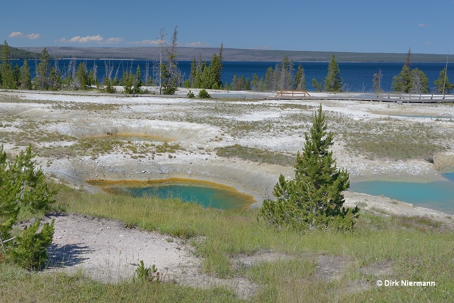 Mimulus Pools WTLGNN018 Yellowstone