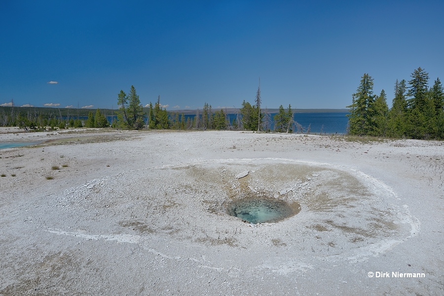 Percolating Spring Yellowstone