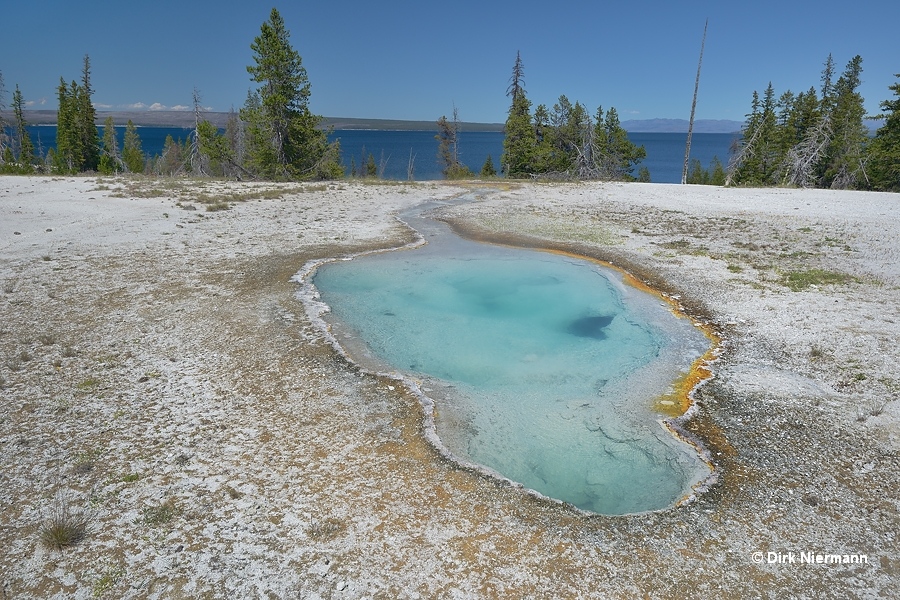 Perforated Pool Yellowstone
