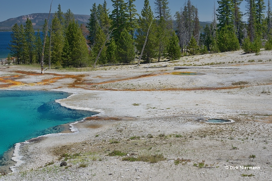 Springs southwest of Black Pool Yellowstone