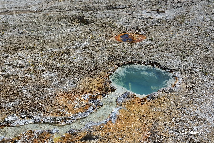 Venting Pool Yellowstone