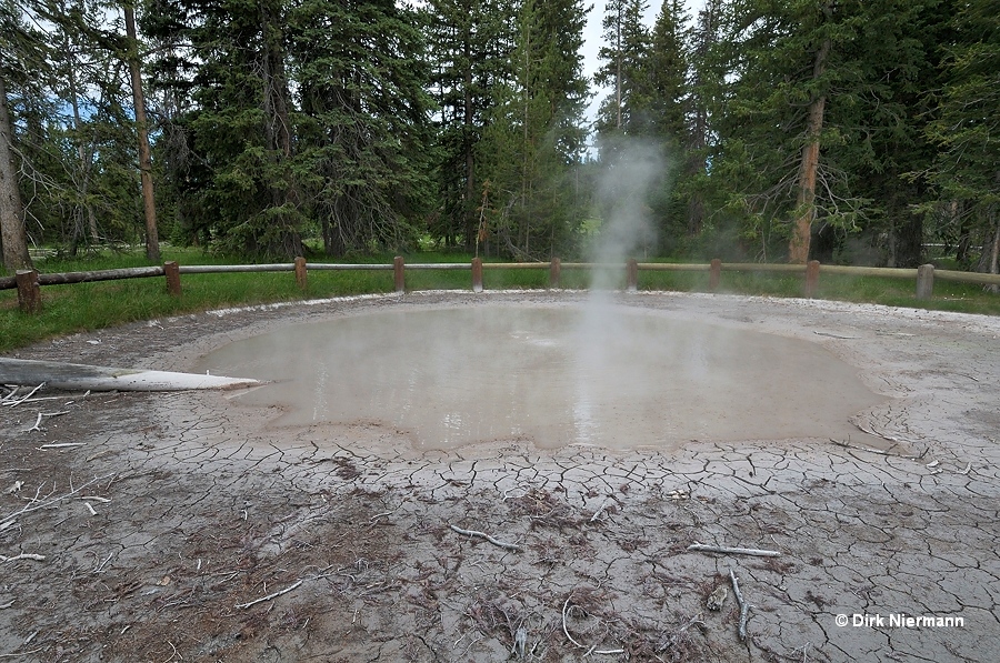 Muddy hot spring WTLGNN032 Yellowstone