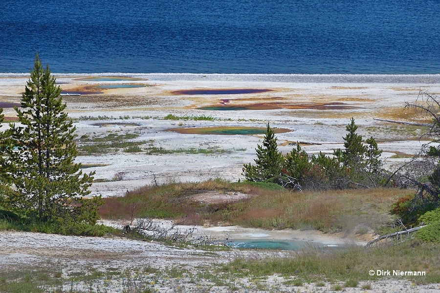 Lower Mercurial Group Yellowstone