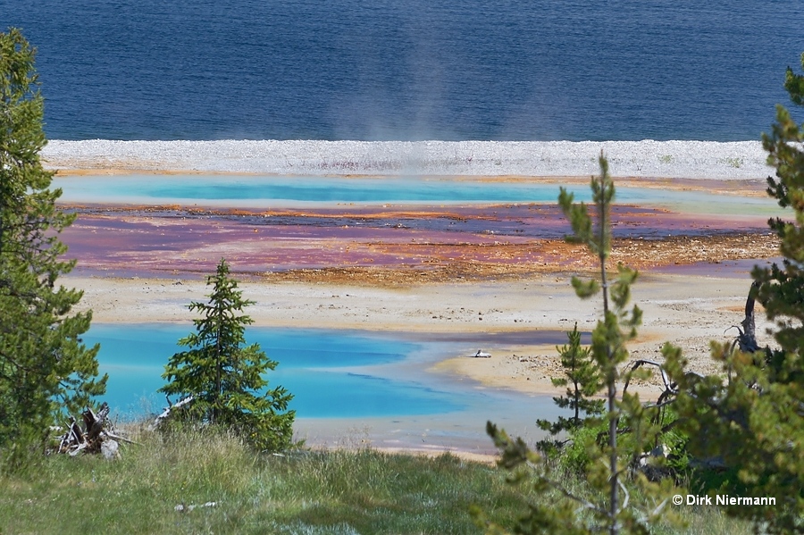 Lower Mercurial Group Yellowstone