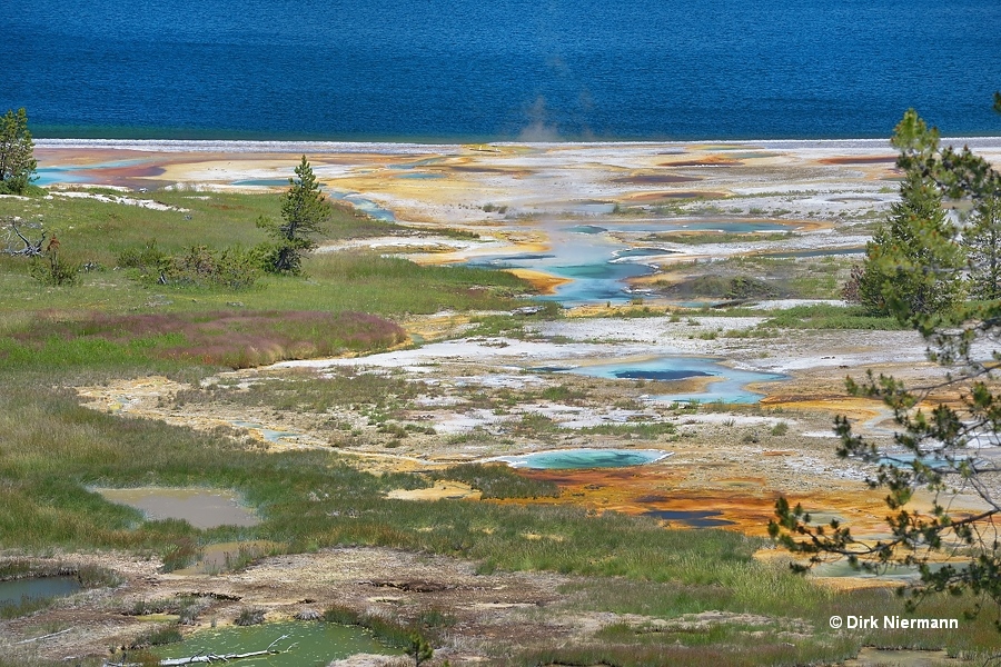 Mercurial Group Yellowstone