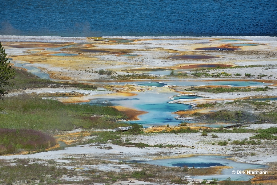 Mercurial Group Yellowstone