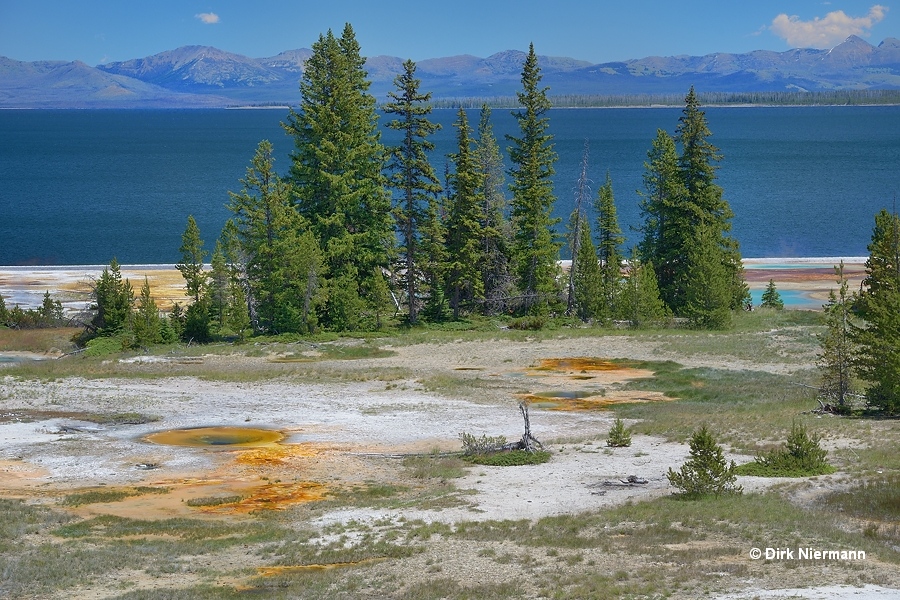 Mercurial Group Yellowstone