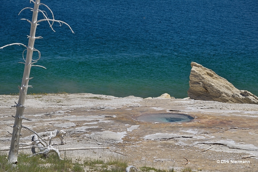 Lone Pine Geyser Yellowstone