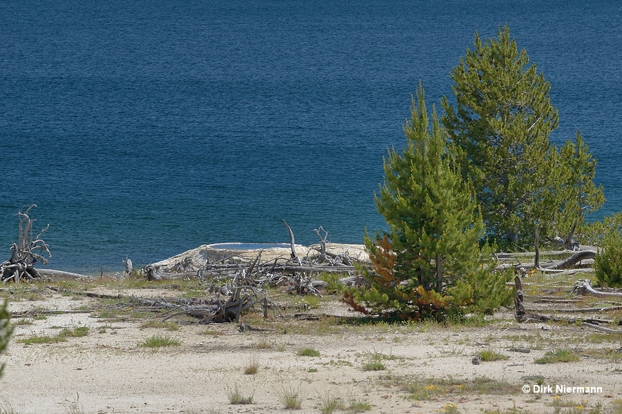 Mantrap Cone Yellowstone