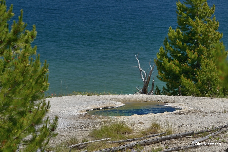 Spring north of Goggle Spring Yellowstone