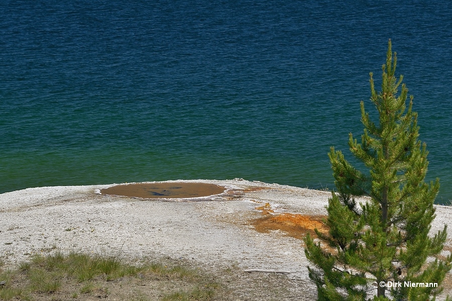 Spring south of Occasional Geyser Yellowstone